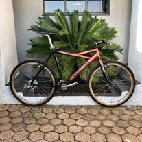 Cannondale Killer V project photo