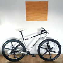 Cannondale Lefty 29” photo