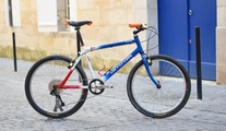 Cannondale M600 Beast of the East '91