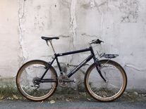 Cannondale M800 Beast of the East