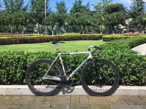 Cannondale Optimo Track 2005