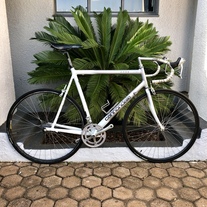 Cannondale R600 Project photo