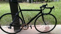 Cannondale SR300 photo