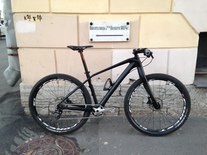 Carbon 27.5" photo