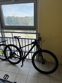 Carbon mtb
