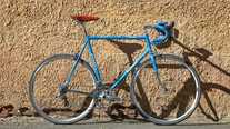 Casati Genius