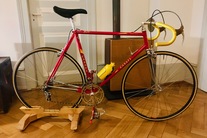 Casati "Gold Line" photo