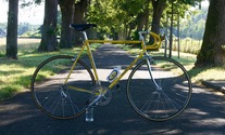 CASCIANI SL &  Campagnolo SR 50th.