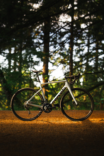 cervelo | caledonia