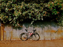 Cervélo Soloist photo