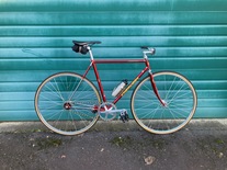 Cherubim Triplecrown