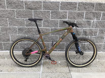 China Carbon hardtail photo