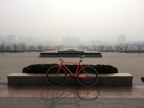 Chinese Fixed Gear