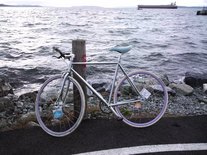 bigger frame, risers, new seat, elliot bay bike trail.