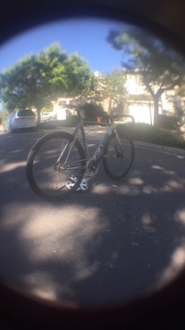 Cinelli bolt