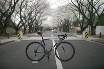 Cinelli Experience photo