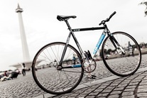 Cinelli histogram photo