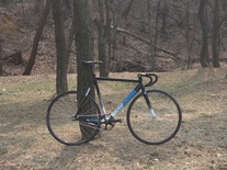 cinelli histogram 2013