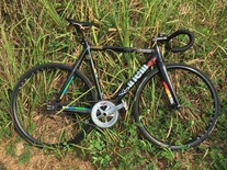 Cinelli histogram 2015 photo