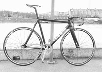 Cinelli Histogram 2015 59cm