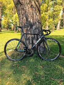 CINELLI HISTOGRAM photo