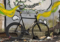 Cinelli Histogram