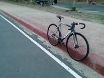 cinelli mash 50cm
