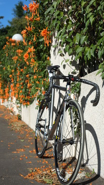 Cinelli Mash Bolt 2012 photo