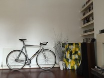 Cinelli Mash Bolt photo