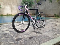 Pink X Purple Cinelli Mash Histogram photo