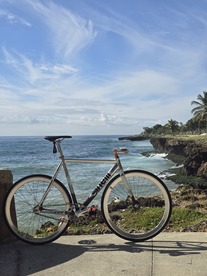 Cinelli Mash Histogram 2014