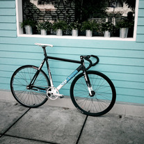 Cinelli Mash Histogram