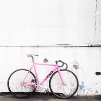 Cinelli Mash Histogram *PINK*