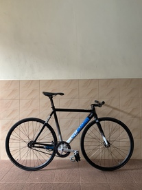 Cinelli Mash Histogram Size 50