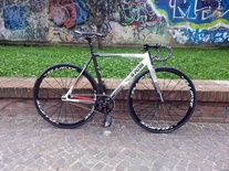 Cinelli Mash Parallax photo