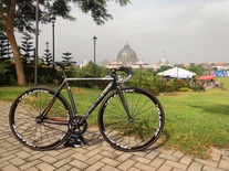 Cinelli Mash Parallax