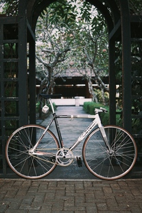 Cinelli Mash Parallax