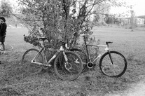 Cinelli Mash Parallax (Cursed)