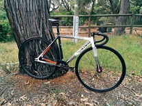 Cinelli Parallax 2014