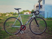 Cinelli Vigorelli Raw