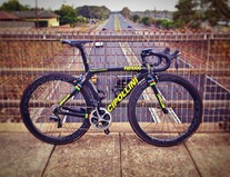 2013 Cipollini RB1000 World Champion