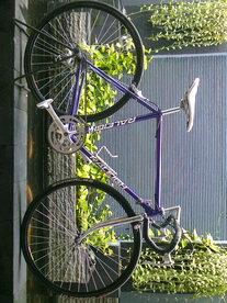 classic raleigh purple photo