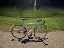 Clemente Custom Steel Track Bike