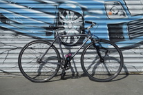 Co-motion co-pilot S&S coupler fixed