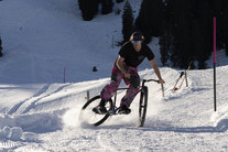 Cohesion Steel tracklocross