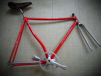 colnago photo