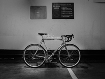 Colnago Art Decor photo