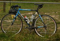 Colnago C-50 photo