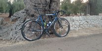 Colnago C40 mkII