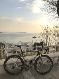 Colnago C59 photo